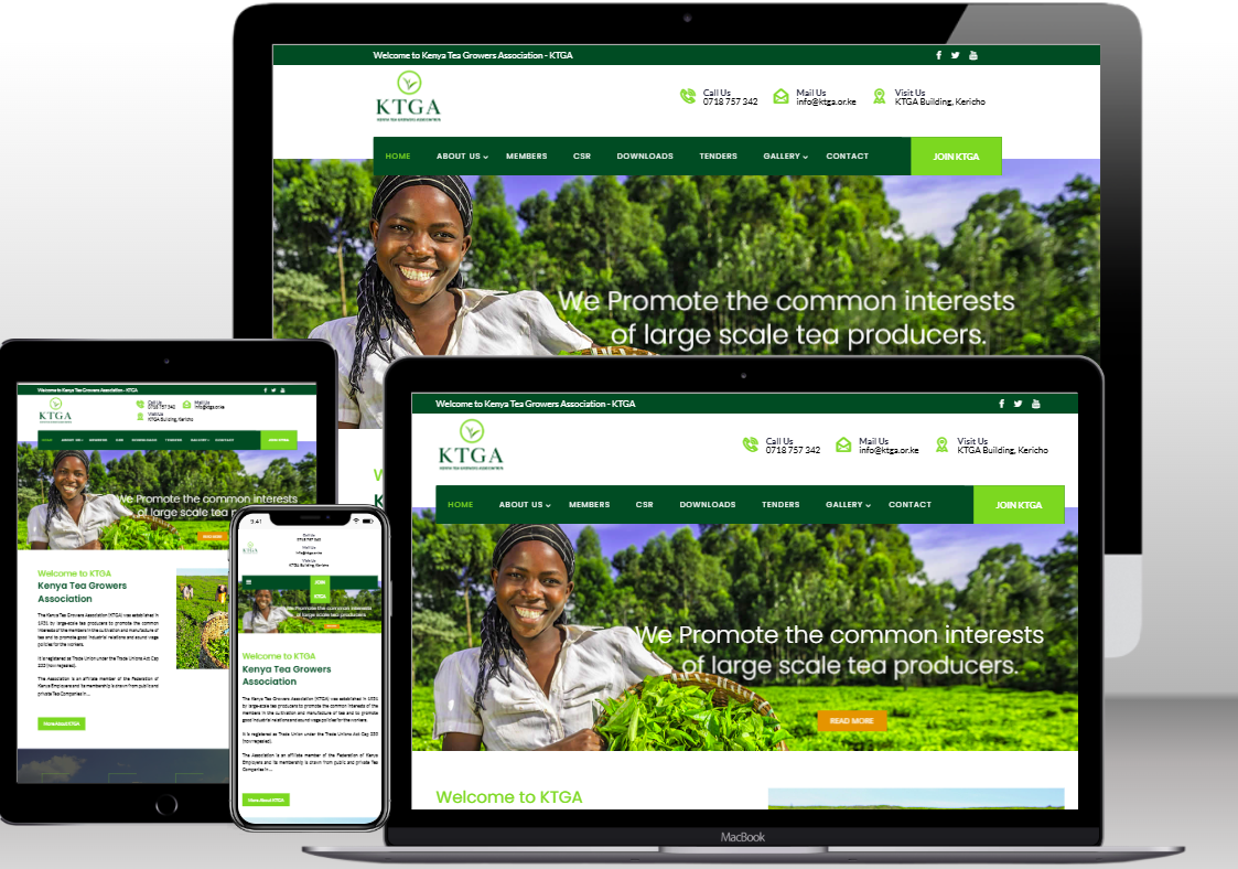 Web design in Nairobi